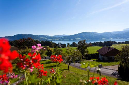 a view of a field of flowers and a lake at Hotel Haberl - Attersee in Attersee am Attersee