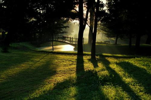 a park with a bridge and trees in the grass at Dwór Kombornia - Folwark in Kombornia