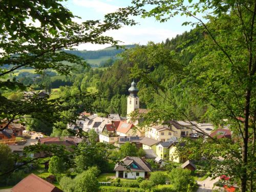 a small town with a church in the distance at Gästehaus Daurer in Reinsberg