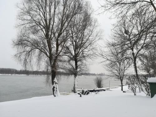 Imagen de la galería de Holiday Home Green House II, en Batina