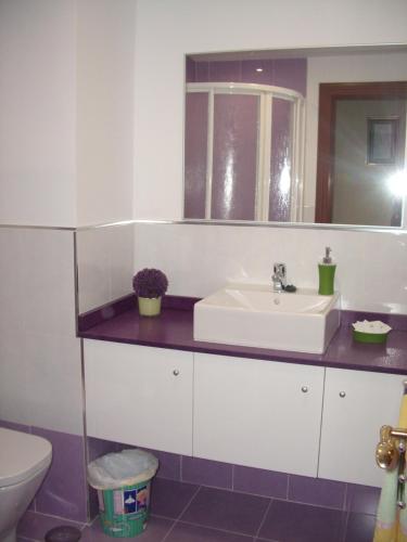 a bathroom with a sink and a toilet at Paseo Maritimo de Poniente in Málaga