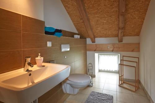 ein Bad mit einem Waschbecken und einem WC in der Unterkunft Dreiseithof Sohra in Sohra