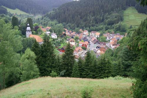 a small town in the middle of a mountain at Ferienwohnung An der Innerste in Wildemann
