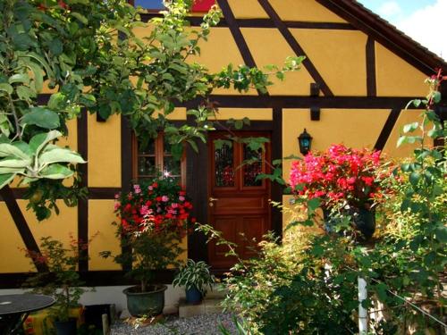 a house with flowers in front of a door at La Pomme de Pin in Raedersdorf