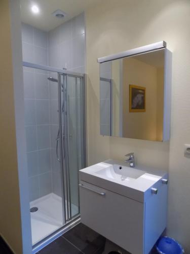a bathroom with a shower and a sink and a mirror at Akropolis odk in Koksijde
