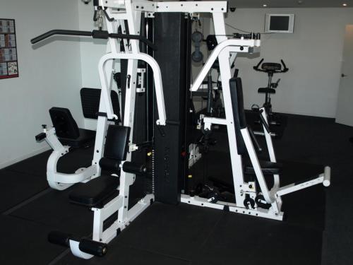 Fitness centrum a/nebo fitness zařízení v ubytování ACD Apartments
