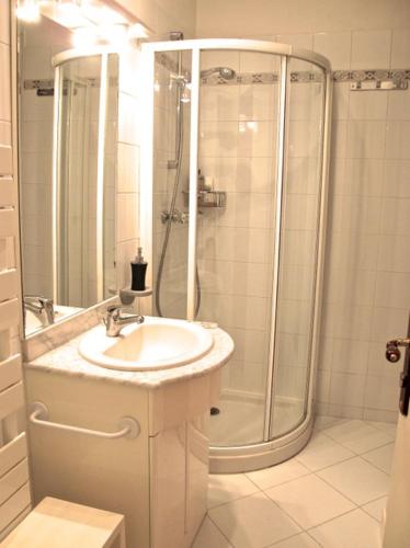 une salle de bain avec un lavabo et une douche dans l'établissement T3 HYPERCENTRE Jardin Public, à Bordeaux