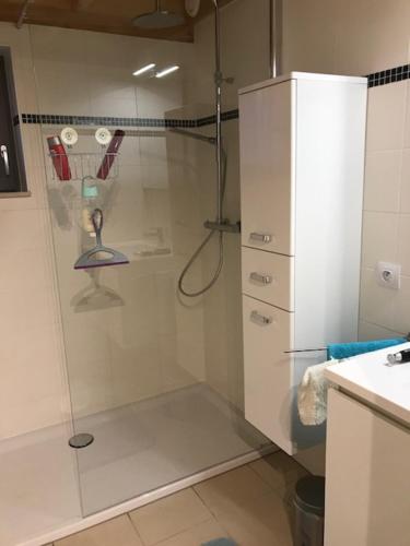 a shower with a glass door in a bathroom at Zeepark Mercator in Molenwijk