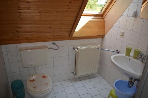 een kleine badkamer met een toilet en een wastafel bij Gaststätte "Zum Fährmann" in Walternienburg