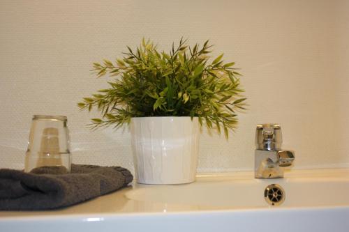 una planta en un jarrón sentado en un lavabo de baño en Hotell Angöringen en Karlskrona