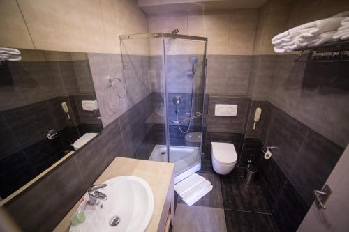 a bathroom with a shower and a sink and a toilet at Savaneti Eco Hotel in Tʼelavi