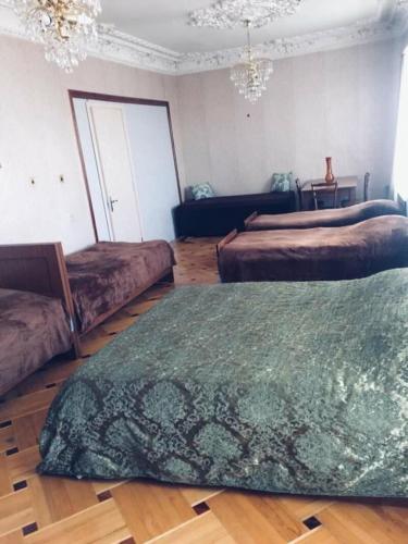 a room with two beds and a green rug at Guesthouse Raisa in Kvareli