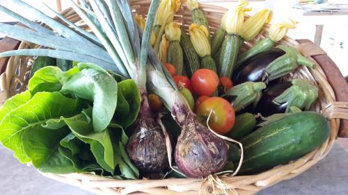 a basket full of vegetables sitting on a table at Bioagriturismo Poderaccio in Incisa in Valdarno