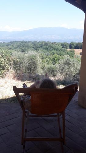 a person laying in a hammock in a chair at Bioagriturismo Poderaccio in Incisa in Valdarno