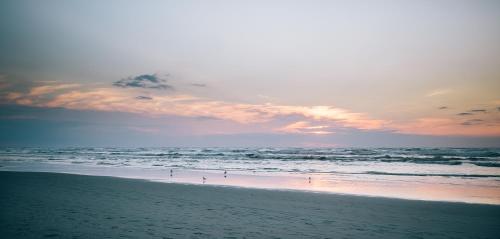 a group of people on the beach at sunset at Hotel Prado in Ostend