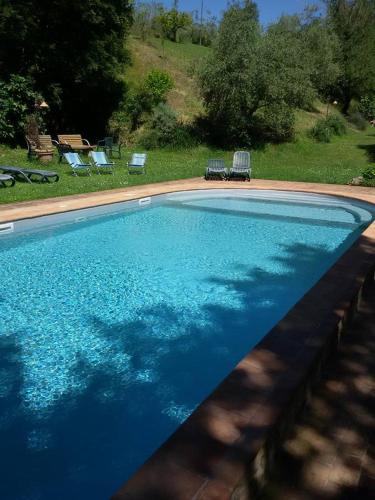 a large swimming pool with blue water in a yard at Agriturismo Frallarenza in Ficulle