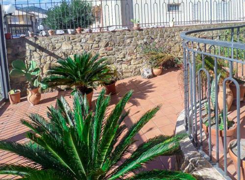 a patio with plants and a stone wall at Dolce Casa n41 in Savoca 
