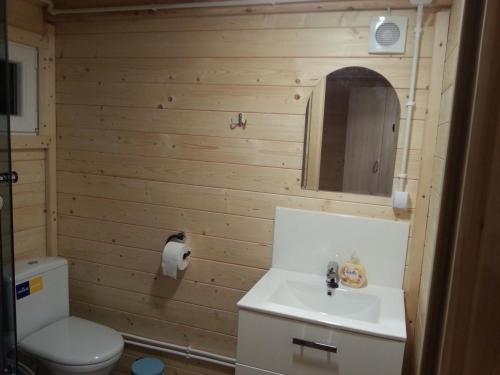 a bathroom with a toilet and a sink at Domki Finezja in Dziwnówek
