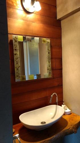 a bathroom sink with a mirror on a wooden wall at Aires de Ambar in Merlo