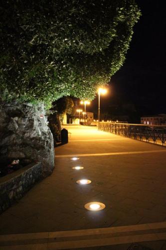 a street at night with lights and a tree at Le Divine La Terrazza in Levanto
