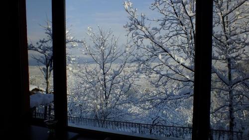 a window view of a tree covered in snow at Sapanca Dilek Konagi Hotel in Sapanca