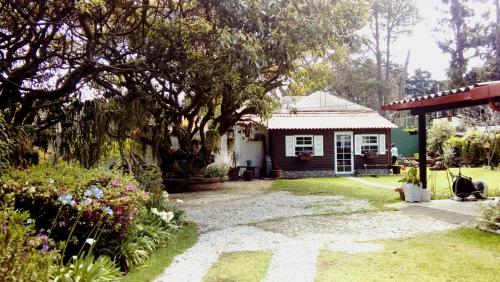 una casa con un gran árbol en el patio en Casa Carolina en San Lucas Sacatepéquez