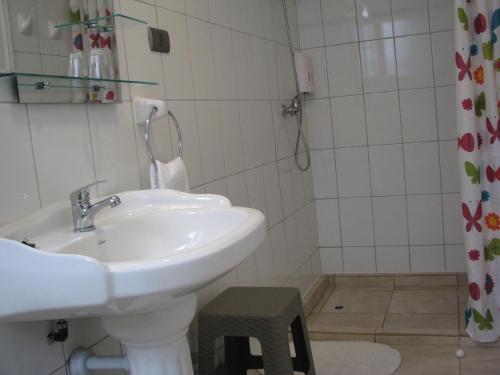 a bathroom with a sink and a shower at Portal Austral in Puerto Montt