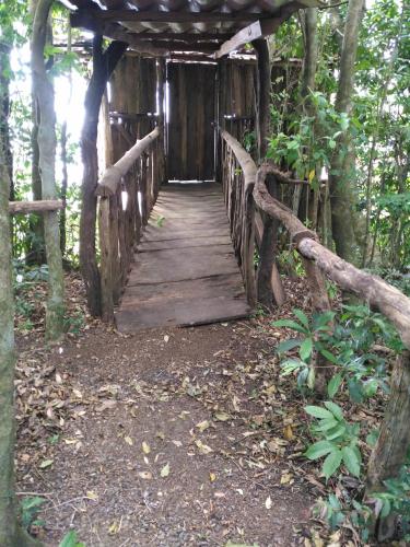 a wooden bridge in the middle of a forest at Cabañas Don Camilo Albergue de Montaña in Cabecera de Cañas