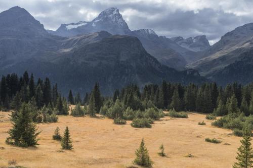 Un paisaje natural cerca de la casa vacacional