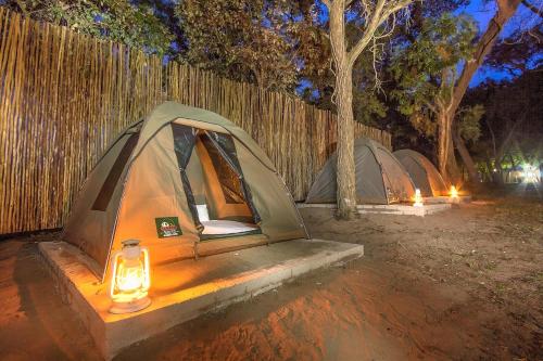 a group of tents in a field with a fence at Kruger Adventure Lodge in Hazyview