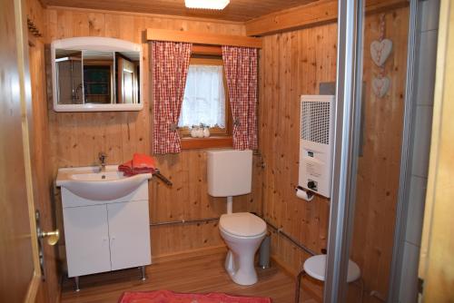 a small bathroom with a toilet and a sink at Obere Roner Kasa in Mörtschach