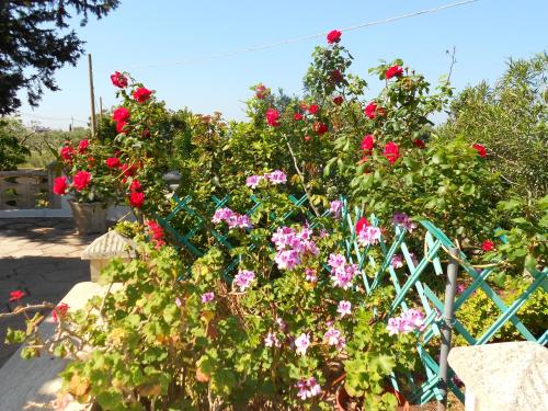 Jardín al aire libre en Villa Pesce