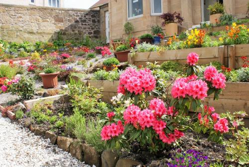 a garden of flowers in front of a house at Dean Park Guest House in Kilmarnock