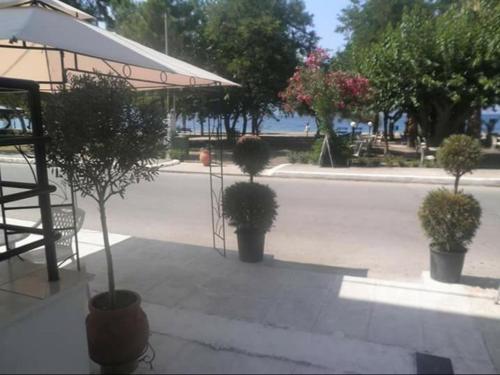 Gallery image of ΑΚΡΟΓΙΑΛΙ in Néos Pírgos