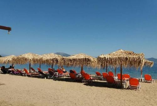 Gallery image of ΑΚΡΟΓΙΑΛΙ in Néos Pírgos