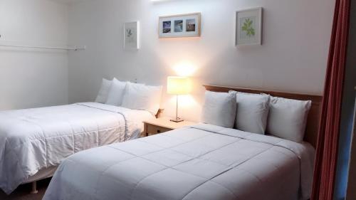 ein Hotelzimmer mit 2 Betten und einer Lampe in der Unterkunft City Center Hotel Los Angeles in Los Angeles