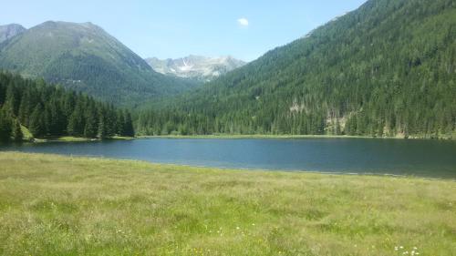 a lake in the middle of a field with mountains at Apartment zum Wasserfall in Krakaudorf