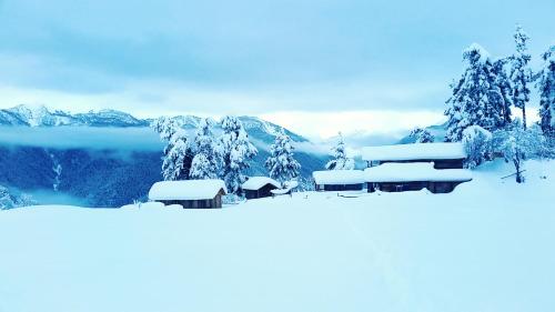 a winter scene with snow covered trees and buildings at Heshkili huts and cabins Svaneti in Keshkili
