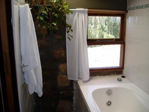 a bathroom with a bath tub and a window at Alauri Ñire in Huinganco