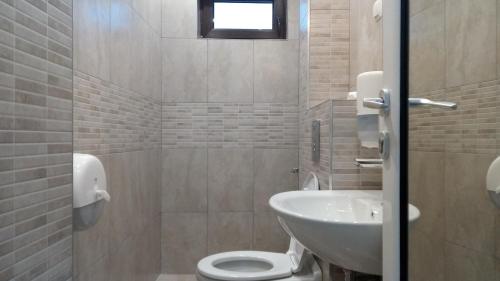 a bathroom with a toilet and a sink at Khan Krum House & Apartments for rent in Elin Pelin