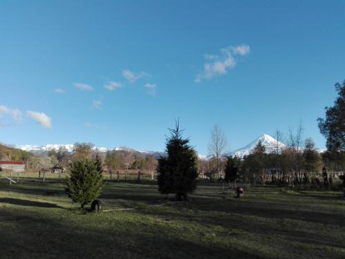 a field with two trees and a mountain in the background at Cabañas Captren Andino in Curacautín