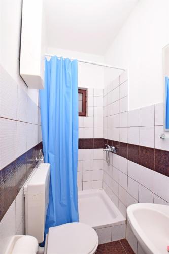 a bathroom with a toilet and a blue shower curtain at Apartments Katarina in Pirovac