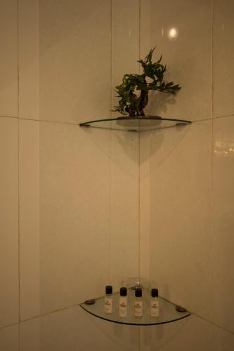 a glass shelf with a plant on top of it at Red Earth Kabini in Begūr