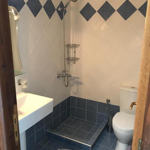 a bathroom with a toilet and a sink at TO VOTSALO-beach side studios & taverna in Karpathos Town