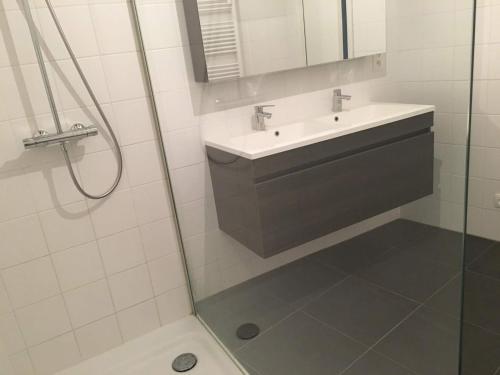 een badkamer met een wastafel en een douche bij Appartement in hartje Gent in Gent