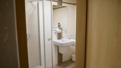 ein Bad mit einem Waschbecken, einer Dusche und einem WC in der Unterkunft Hotel Waldschlößchen in Lienen