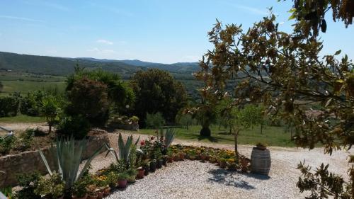 a garden with a bunch of plants and flowers at Podere Mammoleta in Fattoria Marsiliana