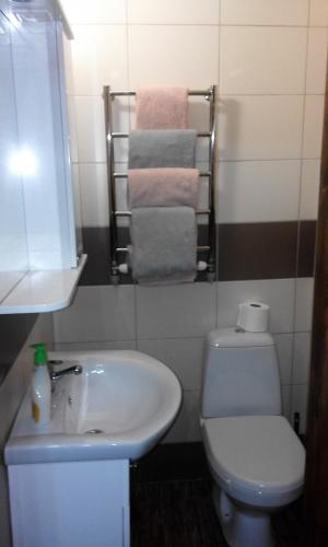 a bathroom with a white toilet and a sink at U Druziv in Polyana