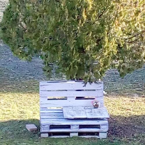 a painting of a tree above a white dresser at Amor di Lavanda in Cingoli