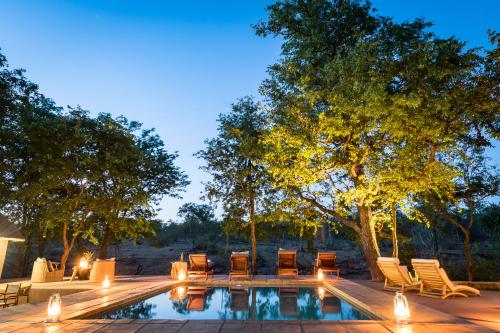 a backyard pool with chairs and lights at night at Chacma Bush Camp in Balule Game Reserve